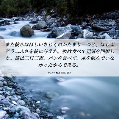 Picture 06 - サムエル記上 30:12 JPN - また彼らはほしいちじくのかたまり - Bible Verse Picture