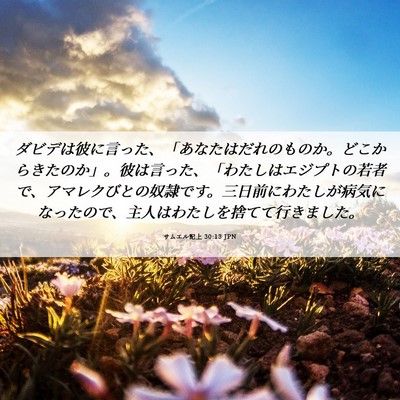 Picture 06 - サムエル記上 30:13 JPN - ダビデは彼に言った、「あなたはだ - Bible Verse Picture