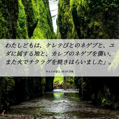 Picture 06 - サムエル記上 30:14 JPN - わたしどもは、ケレテびとのネゲブ - Bible Verse Picture