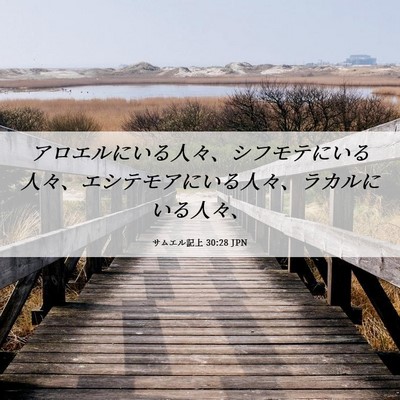 Picture 06 - サムエル記上 30:28 JPN - アロエルにいる人々、シフモテにい - Bible Verse Picture