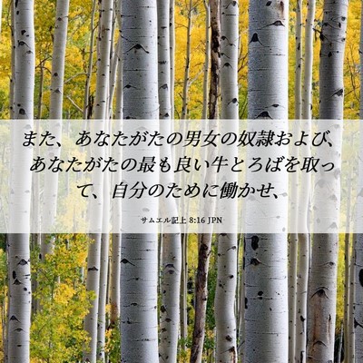 Picture 06 - サムエル記上 8:16 JPN - また、あなたがたの男女の奴隷およ - Bible Verse Picture
