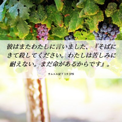 Picture 06 - サムエル記下 1:9 JPN - 彼はまたわたしに言いました、『そ - Bible Verse Picture