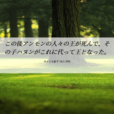 Picture 06 - サムエル記下 10:1 JPN - この後アンモンの人々の王が死んで - Bible Verse Picture