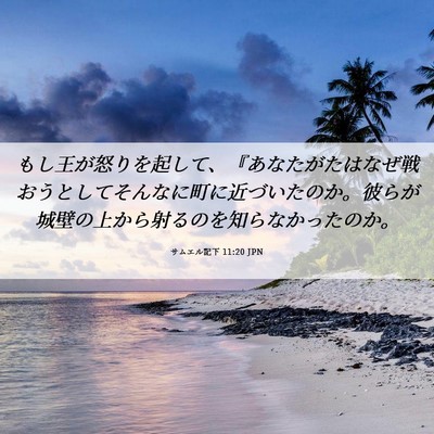 Picture 06 - サムエル記下 11:20 JPN - もし王が怒りを起して、『あなたが - Bible Verse Picture