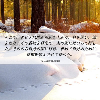 Picture 06 - サムエル記下 12:20 JPN - そこで、ダビデは地から起き上がり - Bible Verse Picture