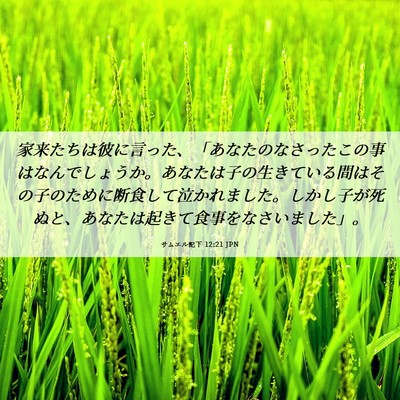 Picture 06 - サムエル記下 12:21 JPN - 家来たちは彼に言った、「あなたの - Bible Verse Picture
