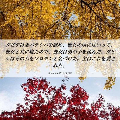 Picture 06 - サムエル記下 12:24 JPN - ダビデは妻バテシバを慰め、彼女の - Bible Verse Picture