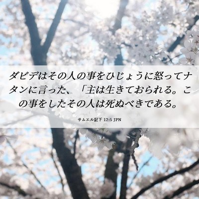 Picture 06 - サムエル記下 12:5 JPN - ダビデはその人の事をひじょうに怒 - Bible Verse Picture