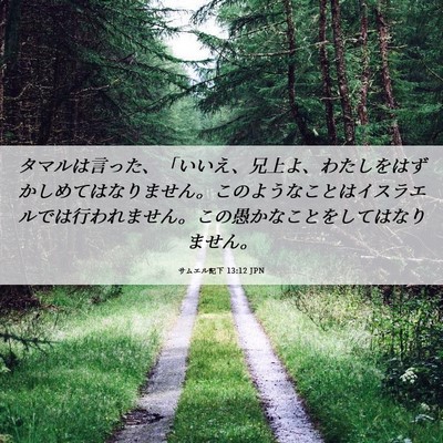 Picture 06 - サムエル記下 13:12 JPN - タマルは言った、「いいえ、兄上よ - Bible Verse Picture