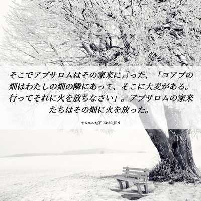 Picture 06 - サムエル記下 14:30 JPN - そこでアブサロムはその家来に言っ - Bible Verse Picture