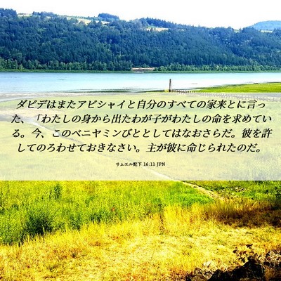 Picture 06 - サムエル記下 16:11 JPN - ダビデはまたアビシャイと自分のす - Bible Verse Picture