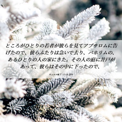 Picture 06 - サムエル記下 17:18 JPN - ところがひとりの若者が彼らを見て - Bible Verse Picture
