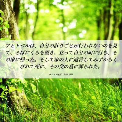 Picture 06 - サムエル記下 17:23 JPN - アヒトペルは、自分の計りごとが行 - Bible Verse Picture