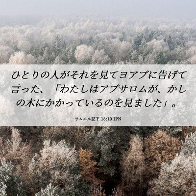 Picture 06 - サムエル記下 18:10 JPN - ひとりの人がそれを見てヨアブに告 - Bible Verse Picture