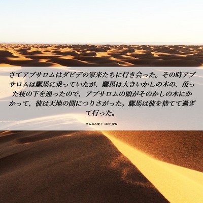 Picture 06 - サムエル記下 18:9 JPN - さてアブサロムはダビデの家来たち - Bible Verse Picture