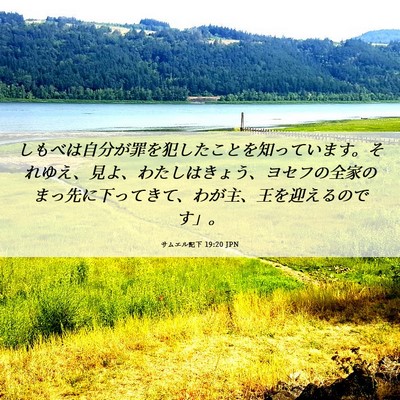 Picture 06 - サムエル記下 19:20 JPN - しもべは自分が罪を犯したことを知 - Bible Verse Picture