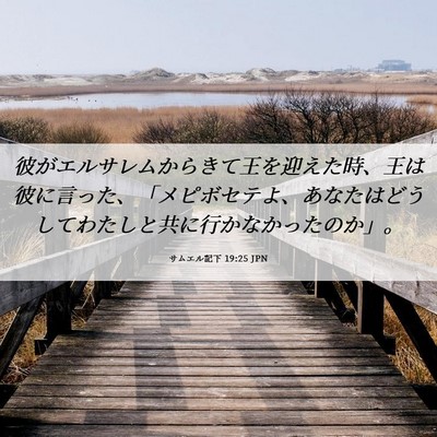 Picture 06 - サムエル記下 19:25 JPN - 彼がエルサレムからきて王を迎えた - Bible Verse Picture