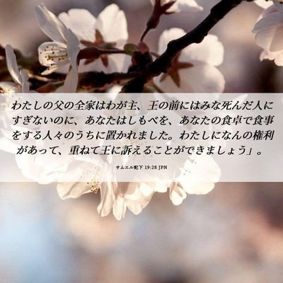 Picture 06 - サムエル記下 19:28 JPN - わたしの父の全家はわが主、王の前 - Bible Verse Picture
