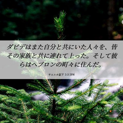Picture 06 - サムエル記下 2:3 JPN - ダビデはまた自分と共にいた人々を - Bible Verse Picture