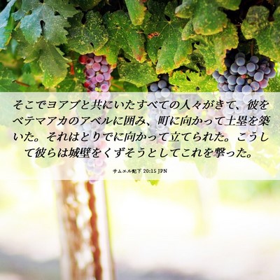 Picture 06 - サムエル記下 20:15 JPN - そこでヨアブと共にいたすべての人 - Bible Verse Picture