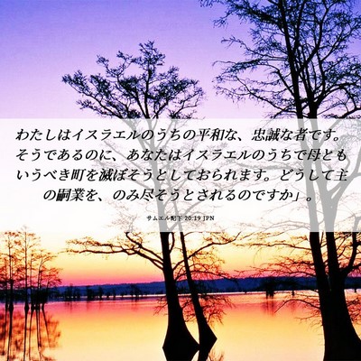 Picture 06 - サムエル記下 20:19 JPN - わたしはイスラエルのうちの平和な - Bible Verse Picture