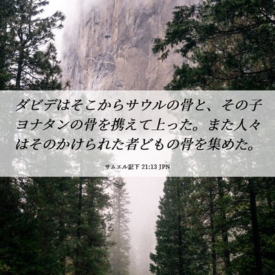 Picture 06 - サムエル記下 21:13 JPN - ダビデはそこからサウルの骨と、そ - Bible Verse Picture