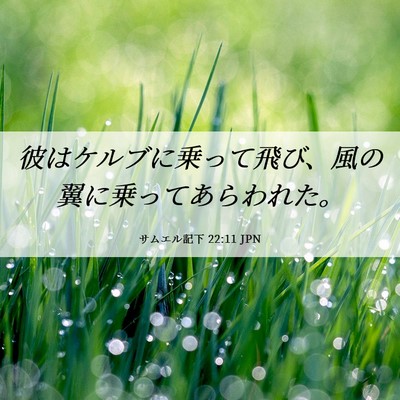 Picture 06 - サムエル記下 22:11 JPN - 彼はケルブに乗って飛び、風の翼に - Bible Verse Picture