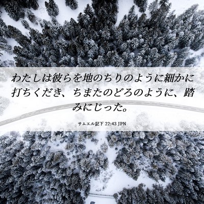 Picture 06 - サムエル記下 22:43 JPN - わたしは彼らを地のちりのように細 - Bible Verse Picture