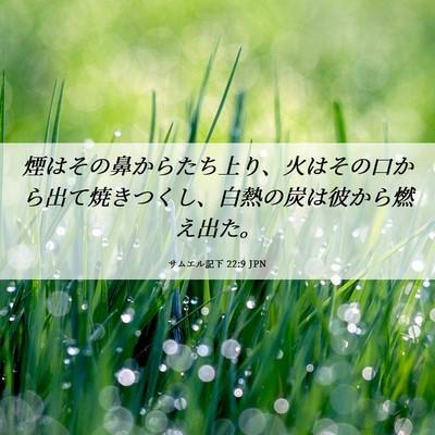 Picture 06 - サムエル記下 22:9 JPN - 煙はその鼻からたち上り、火はその - Bible Verse Picture