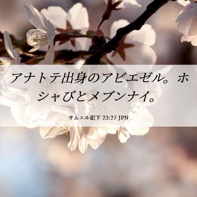 Picture 06 - サムエル記下 23:27 JPN - アナトテ出身のアビエゼル。ホシャ - Bible Verse Picture