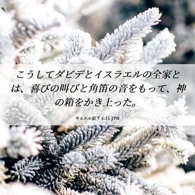 Picture 06 - サムエル記下 6:15 JPN - こうしてダビデとイスラエルの全家 - Bible Verse Picture