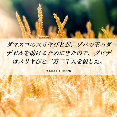 Picture 06 - サムエル記下 8:5 JPN - ダマスコのスリヤびとが、ゾバの王 - Bible Verse Picture