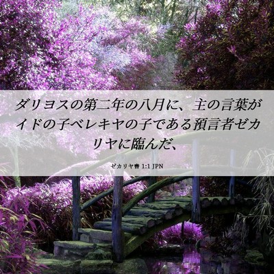 Picture 06 - ゼカリヤ書 1:1 JPN - ダリヨスの第二年の八月に、主の言 - Bible Verse Picture