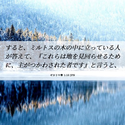 Picture 06 - ゼカリヤ書 1:10 JPN - すると、ミルトスの木の中に立って - Bible Verse Picture