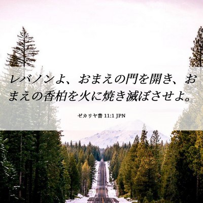 Picture 06 - ゼカリヤ書 11:1 JPN - レバノンよ、おまえの門を開き、お - Bible Verse Picture
