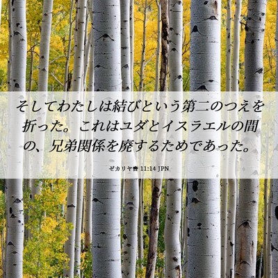 Picture 06 - ゼカリヤ書 11:14 JPN - そしてわたしは結びという第二のつ - Bible Verse Picture