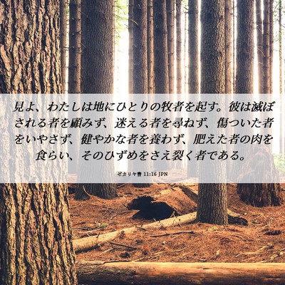 Picture 06 - ゼカリヤ書 11:16 JPN - 見よ、わたしは地にひとりの牧者を - Bible Verse Picture
