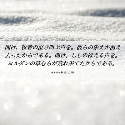 Picture 06 - ゼカリヤ書 11:3 JPN - 聞け、牧者の泣き叫ぶ声を。彼らの - Bible Verse Picture