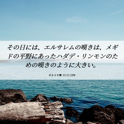 Picture 06 - ゼカリヤ書 12:11 JPN - その日には、エルサレムの嘆きは、 - Bible Verse Picture