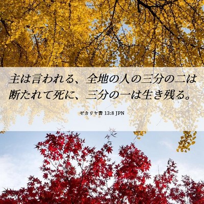 Picture 06 - ゼカリヤ書 13:8 JPN - 主は言われる、全地の人の三分の二 - Bible Verse Picture