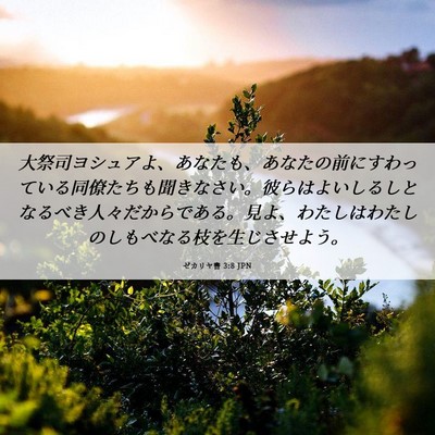 Picture 06 - ゼカリヤ書 3:8 JPN - 大祭司ヨシュアよ、あなたも、あな - Bible Verse Picture