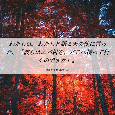 Picture 06 - ゼカリヤ書 5:10 JPN - わたしは、わたしと語る天の使に言 - Bible Verse Picture