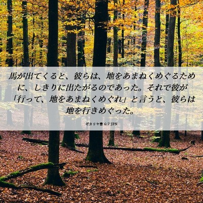 Picture 06 - ゼカリヤ書 6:7 JPN - 馬が出てくると、彼らは、地をあま - Bible Verse Picture