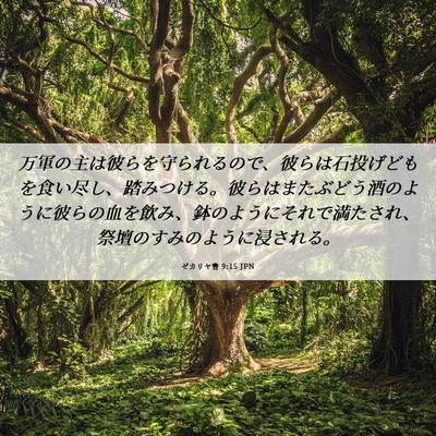 Picture 06 - ゼカリヤ書 9:15 JPN - 万軍の主は彼らを守られるので、彼 - Bible Verse Picture