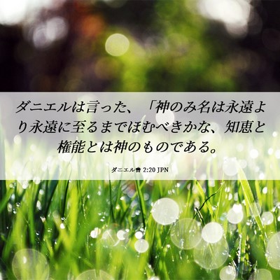 Picture 06 - ダニエル書 2:20 JPN - ダニエルは言った、「神のみ名は永 - Bible Verse Picture