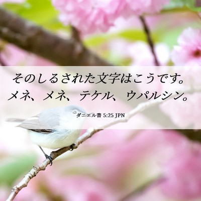 Picture 06 - ダニエル書 5:25 JPN - そのしるされた文字はこうです。メ - Bible Verse Picture