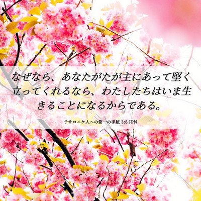 Picture 06 - テサロニケ人への第一の手紙 3:8 JPN - なぜなら、あなたがたが主にあって - Bible Verse Picture