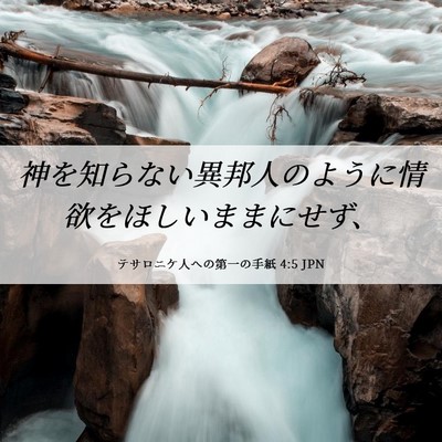 Picture 06 - テサロニケ人への第一の手紙 4:5 JPN - 神を知らない異邦人のように情欲を - Bible Verse Picture