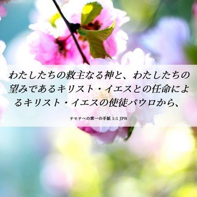 Picture 06 - テモテヘの第一の手紙 1:1 JPN - わたしたちの救主なる神と、わたし - Bible Verse Picture