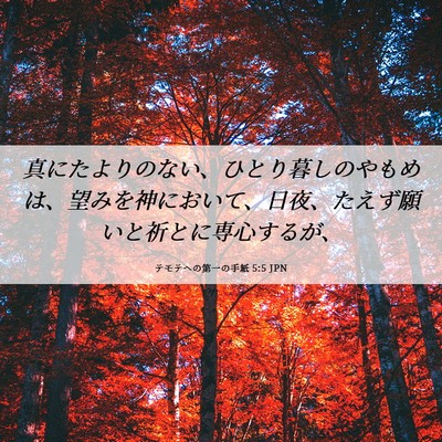 Picture 06 - テモテヘの第一の手紙 5:5 JPN - 真にたよりのない、ひとり暮しのや - Bible Verse Picture